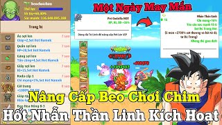 Ngọc Rồng Hot - Một Ngày May Mắn Nâng Cấp Beo Chơi Chim...Hành Trình Top 1 Sét Đẻ Trứng