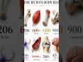 The human body has. #biology #bio #biologyclass #neet #neetexam #sciencefacts #scienceshorts