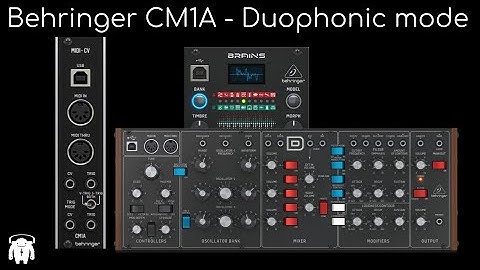 Behringer CM1A in Duophonic mode (Brains & Model D)