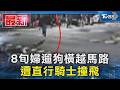 8旬婦遛狗橫越馬路 遭直行騎士撞飛｜TVBS新聞 @TVBSNEWS01