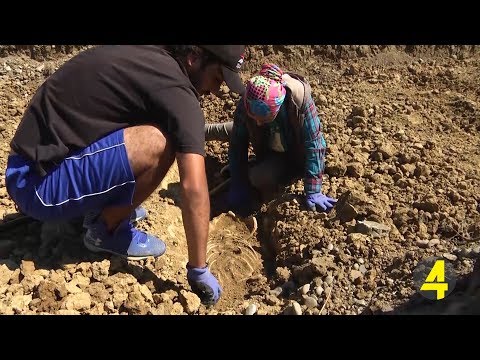 გერმანული მხარე რუსთავში სასაფლაოს ტერიტორიას ითხოვს 18-09-2018