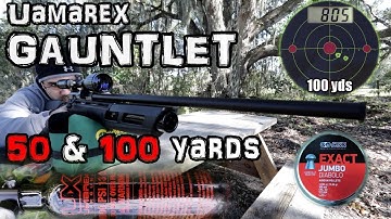 Umarex Gauntlet .22 Air Rifle + Accuracy TESTED - 50 & 100 Yard + FULL REVIEW - Regulated PCP Airgun