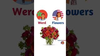 Plural Nouns (Flowers/Books/Cups) in Moroccan Arabic (Darija) & American English
