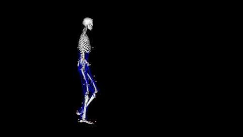 Inverse Kinematics in OpenSim (Scaled Model)