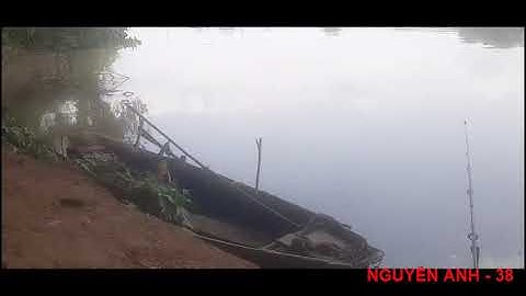 Câu cá Lăng sông Đồng Nai bằng mồi quốc dân | Chia sẻ điểm câu  | mồi câu  | NGUYỄN ANH - 38