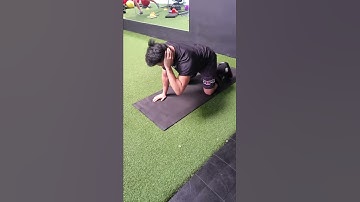 Trunk Rotation in Quadruped