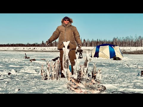 Видео: МЕШОК РЫБЫ ДО ОБЕДА, МЕШОК ПОСЛЕ )))