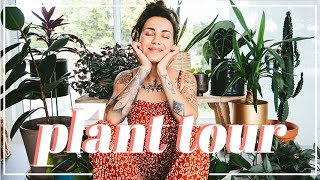 PLANT TOUR - Toutes mes plantes d'intérieur | Coline