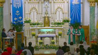 7-19-2026 - 16º Domingo del Tiempo Ordinario - Santa Misa - 12:30PM
