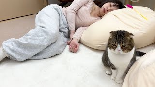 猫と遊ぶ約束をしていたママが寝てしまった結果…拗ねちゃいました