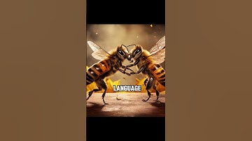 The Dance Language of Bees: Nature