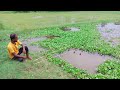 Fishing Video🐠🐬 || The boy is happily fishing in the field canal || Beautiful hook fishing