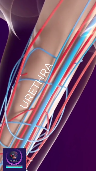 Erectile Dysfunction Treatment by Shockwave Therapy #shorts