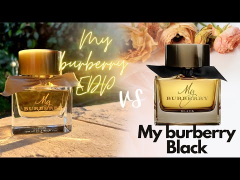 مقارنة بين عطر ماي بربري بلاك وعطر ماي بربري