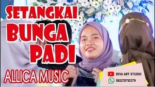 ALLICA MUSIC - SETANGKAI BUNGA PADI