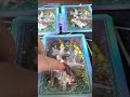 New Year Predictions - Psychic Fairy Tarot Reading - 1, 2 or 3 What Does Your Future Hold?