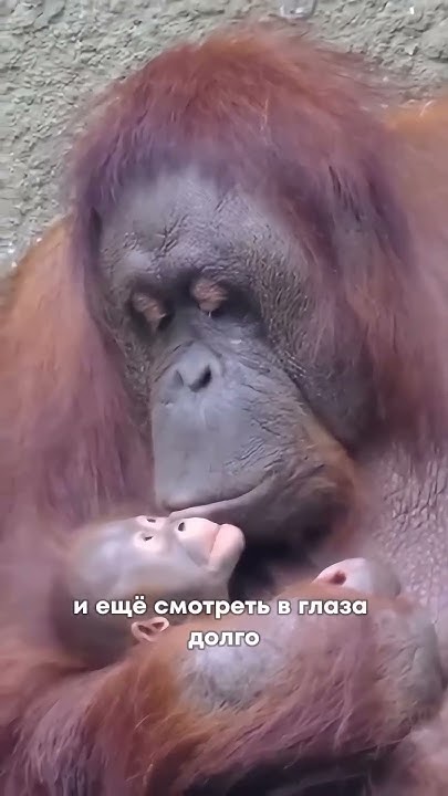 Быть мамой... - YouTube