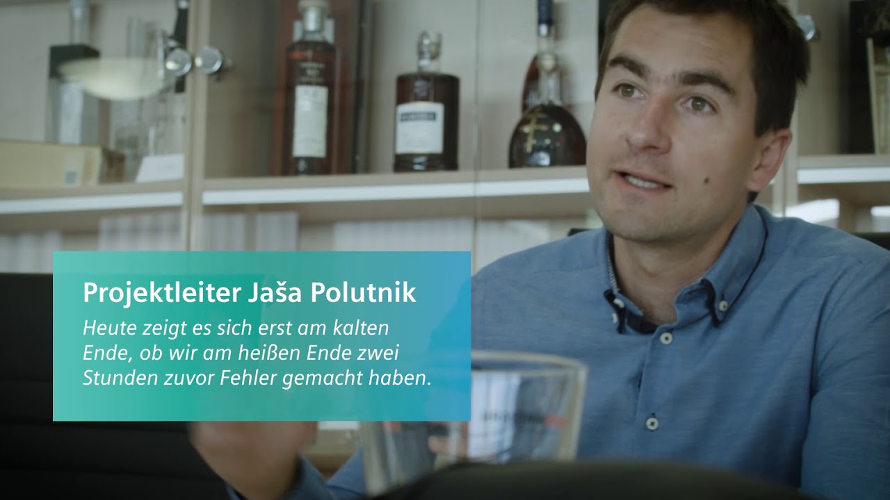 systems biology Digitalization consulting bei einem slowenischen Glashersteller