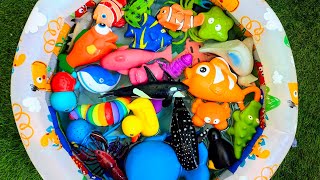 Ocean Animals for Preschoolers | Learn Sea Creatures Names with Toys Video
