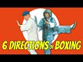 Wu Tang Collection - Six Directions of Boxing ENGLISH Subtitled WIDESCREEN