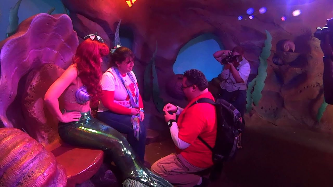 My Disney proposal on Feb 15, 2015 to my Happily ever after....