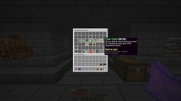 Hypixel Skyblock Bug Report