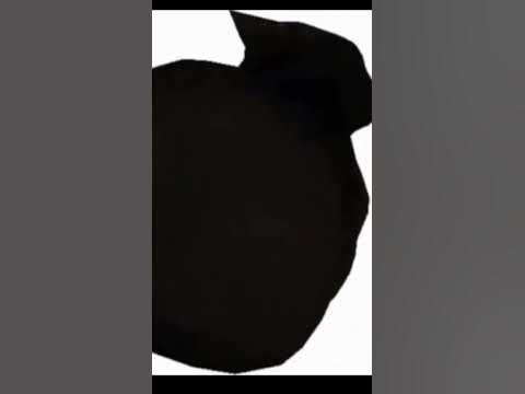maksvel кот максвел - YouTube