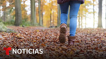 ¿Por qué no debe rastrillar las hojas este otoño?