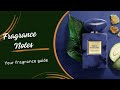 Indigo Tanzanite - giorgio Armani Fragrance Notes