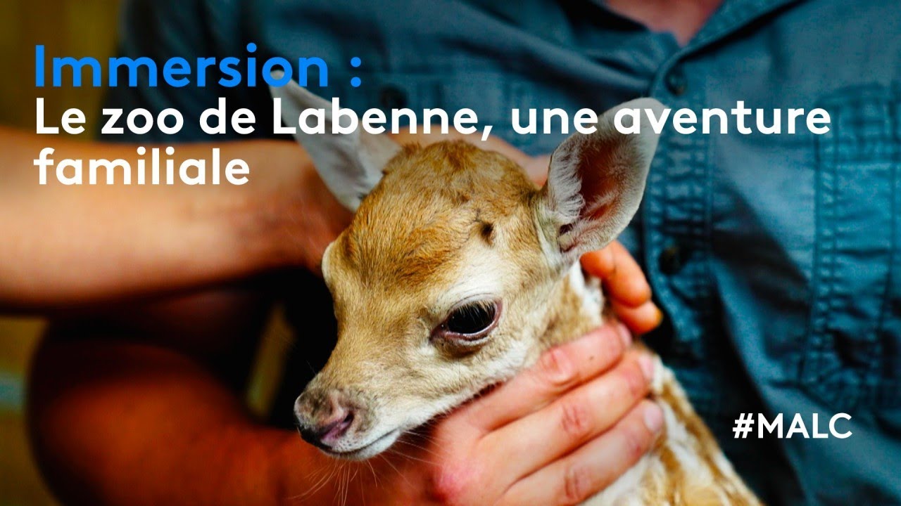 Immersion : Le zoo de Labenne, une aventure familiale