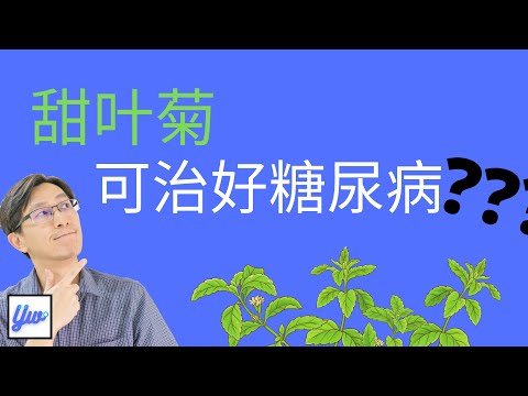 甜叶菊可治好糖尿病？糖尿病可以吃甜叶菊吗？