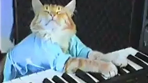 Keyboard Cat! - THE ORIGINAL!