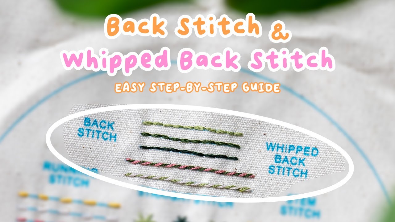 How to Do Back Stitch & Whipped Back Stitch | Easy Embroidery Tutorial for Beginners 🧵