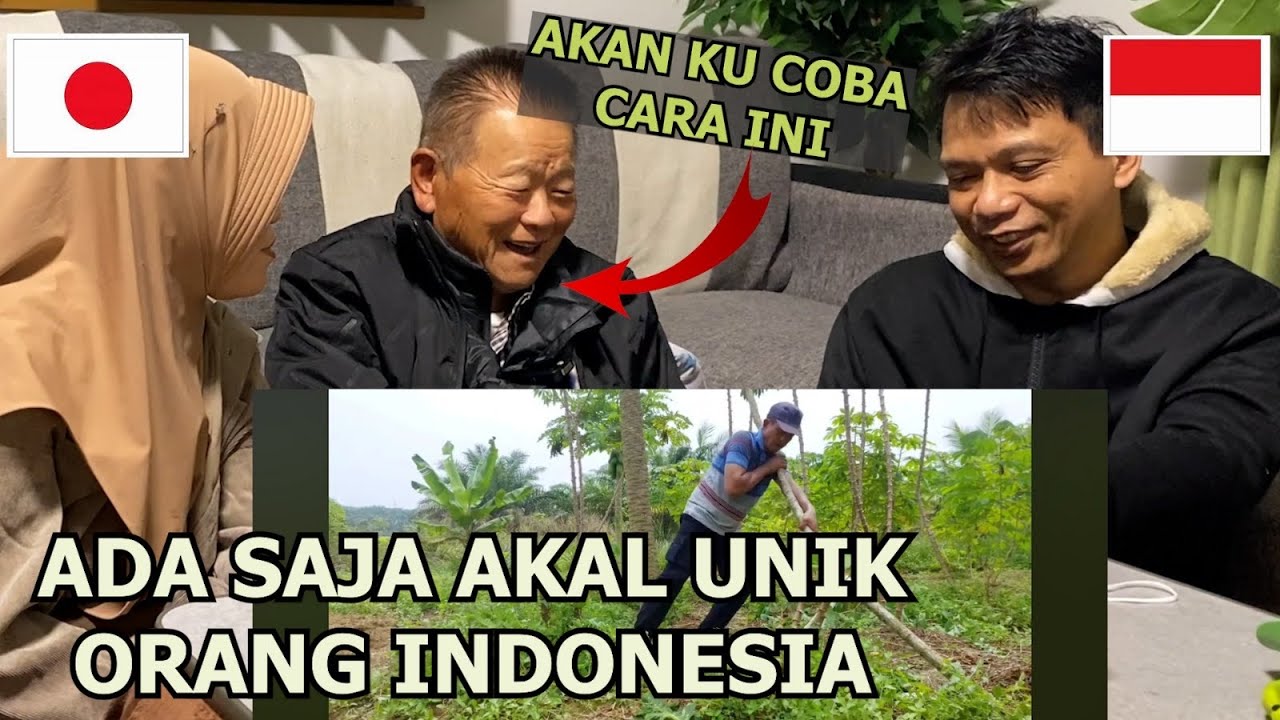 REAKSI KAKEK JEPANG LIHAT CARA ORANG INDONESIA CABUT SINGKONG