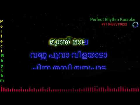 Thooliyile Aada Vantha  Karaoke  Malayalam  Chinna Thambi  Ilaiyaraaja 