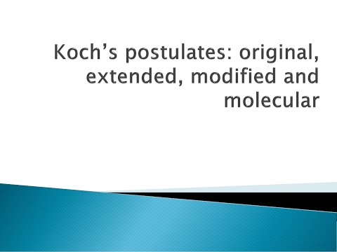 Koch&rsquo;s Postulates: original, extended, modified and molecular