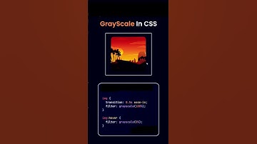 grayscale properties in CSS #coding #website #webdevelopment #shortsvideo #developers #programming