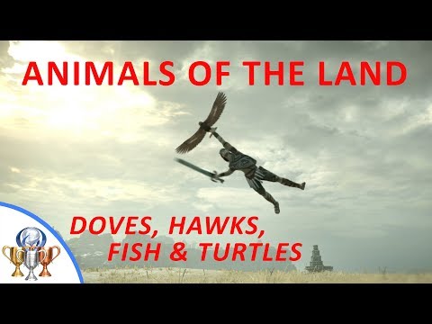 Shadow of the Colossus PS4 Remake - Animals of the Land (Dove, Hawk, Fish & Turtles)