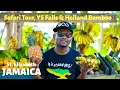 Safari Tour, YS Falls & Holland Bamboo: Saint Elizabeth Jamaica