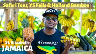 Safari Tour, YS Falls & Holland Bamboo: Saint Elizabeth Jamaica