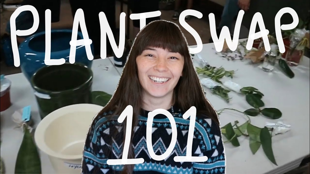 What To Expect Plant Swaps Plant Swap 101 YouTube what-to-expect-plant-swaps-plant-swap-101-youtube