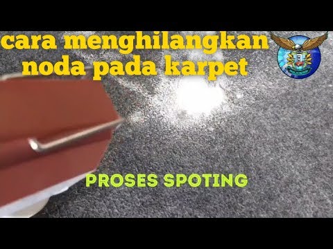 Video: Cara Menghilangkan Lipas di Pangsapuri Anda: 13 Langkah (dengan Gambar)