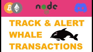 Celebrity Tracking Crypto Whale Transactions and Sending Alerts on Discord with Node JS and Web3 Profile
