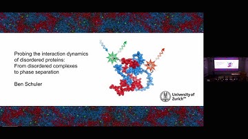 Single-molecule dynamics and interactions of disordered proteins - Ben Schuler - NGBS2024