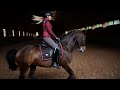 ~ Equestrian Sport ~ Dressage ~ Конный спорт ~ Выездка  ~ Never Be Like You ~