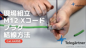 Field Assembly Circular Connector STX M12x1 IP67 X Code Cat 6A ISO IEC