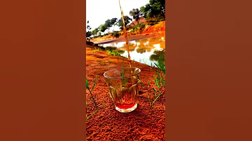 احذر رفيقك لا تخلي ابن الأصيل حلا وتس اب 