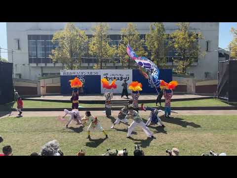 [4K] Fukukoi Odoritai 《First Performance》 The 18th Ooka WA! Dance Festival 10/12/2026