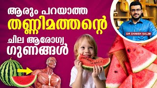 1672- തണണമതതൻ കഴചചലളള ഈ ആരഗയഗണങങൾ അറയമ? Watermelon Unknown Health Benefits