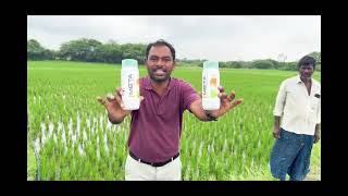 My Gromore Nano Dap Nano Urea